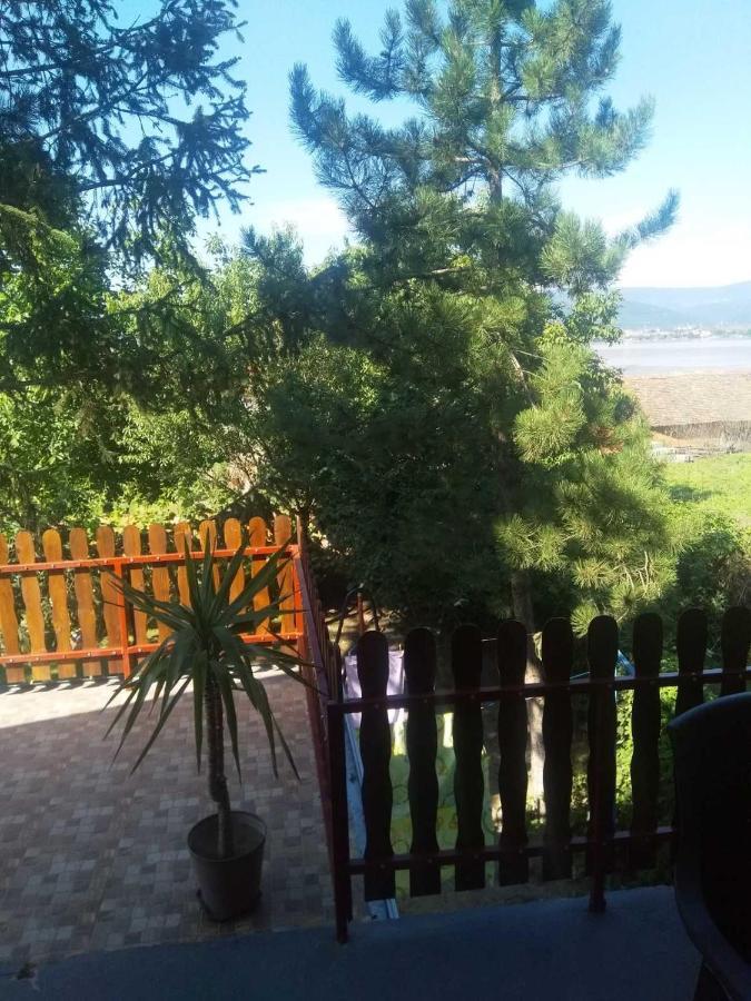 Family Apartman Ana - Star Голубац Экстерьер фото