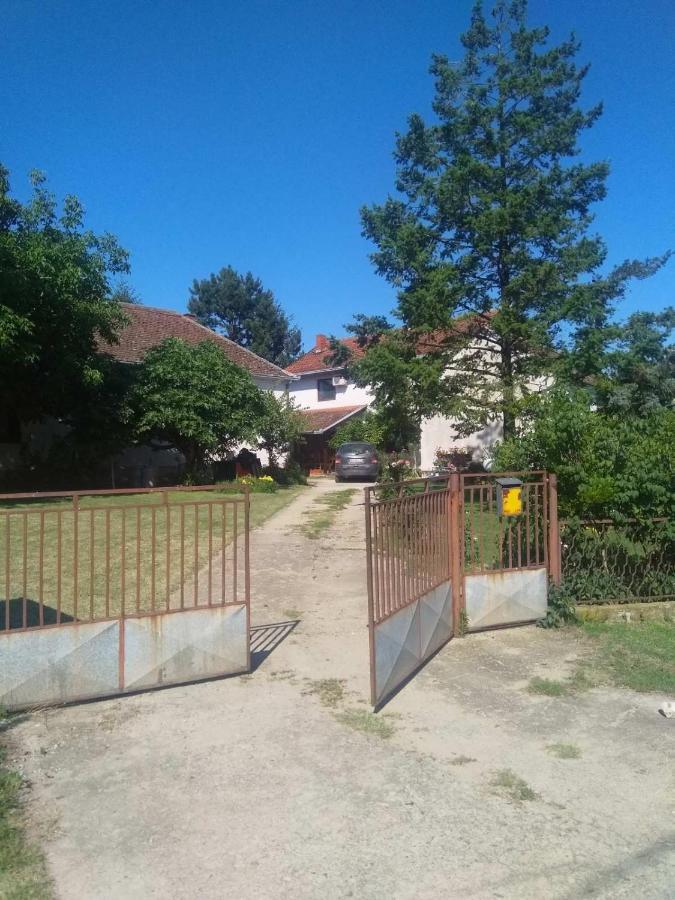 Family Apartman Ana - Star Голубац Экстерьер фото