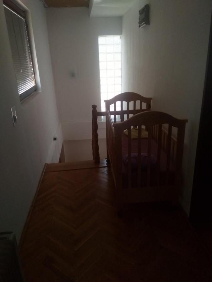 Family Apartman Ana - Star Голубац Экстерьер фото