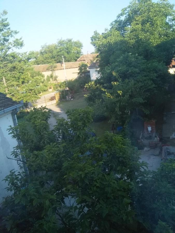 Family Apartman Ana - Star Голубац Экстерьер фото